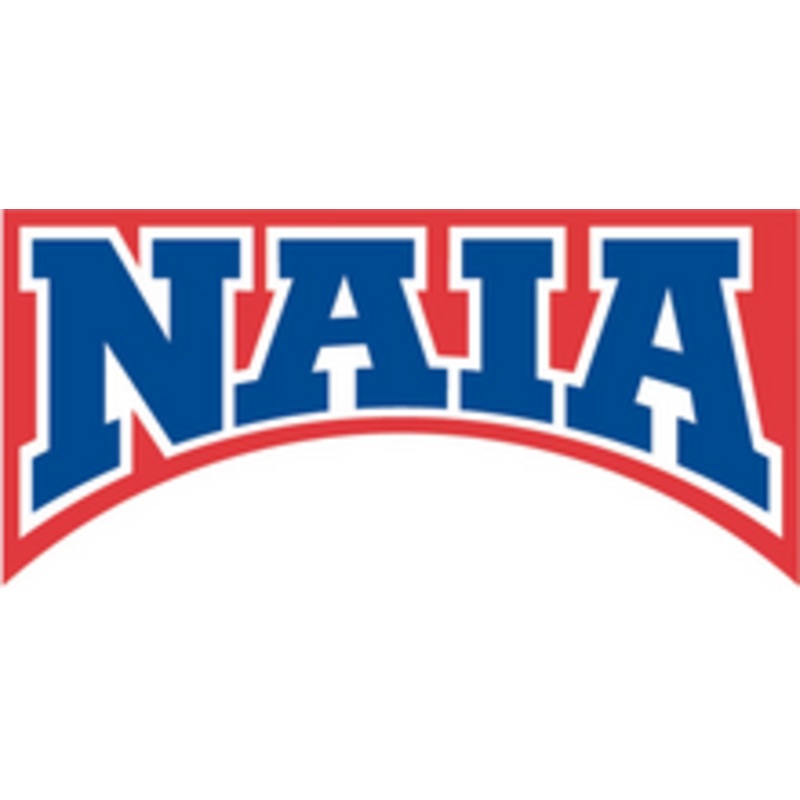 NAIA Men's Embroidered Volleyball Referee Shirt