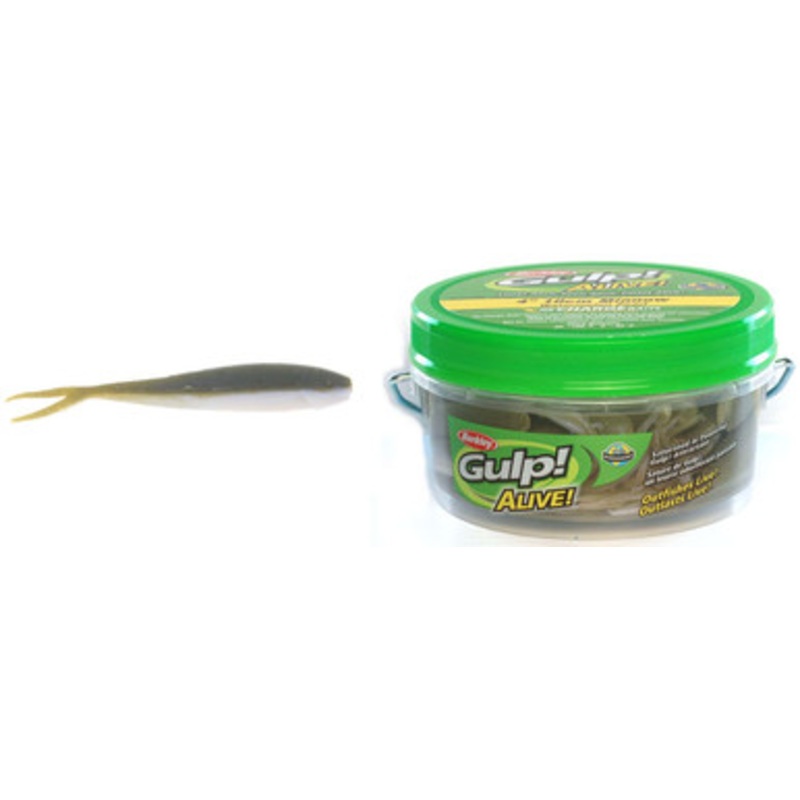 Berkley GAPMI4 12oz Gulp Alive 4'' Minnow Watermelon Pearl