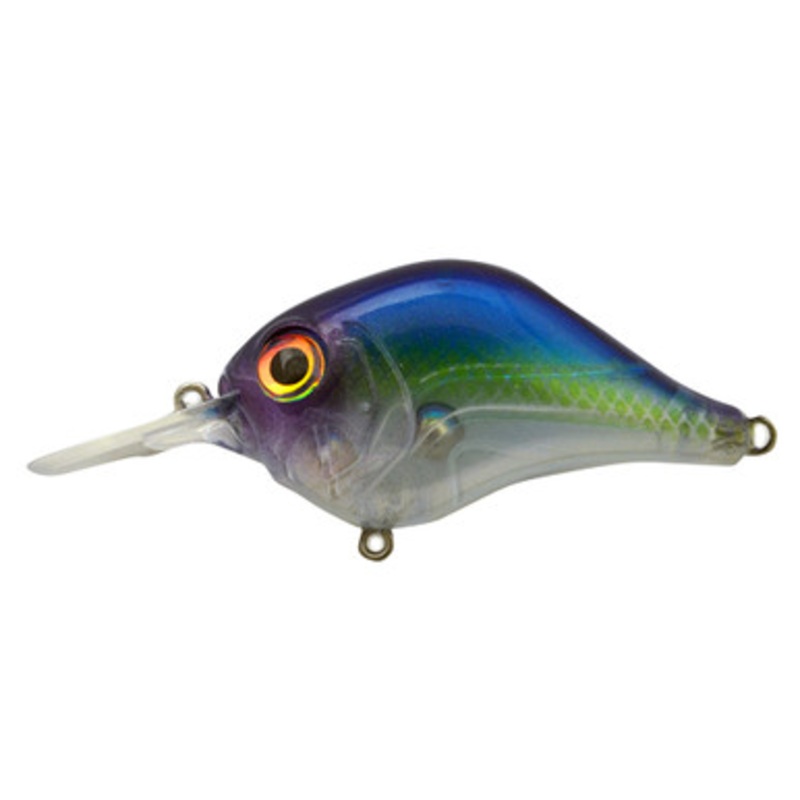 Bill Lewis Rat-L-Trap MR-6 - Pro Blue