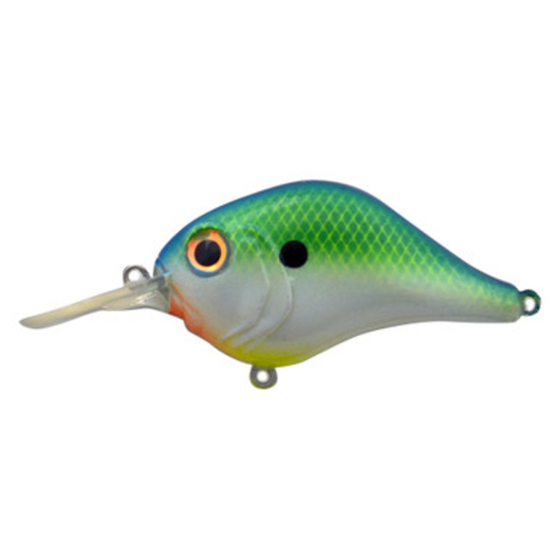 Bill Lewis Rat-L-Trap MR-6 - Citrus Shad