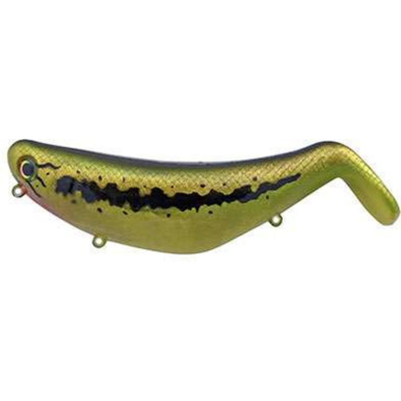 Bill Lewis StutterStep 5.0 - Baby Bass