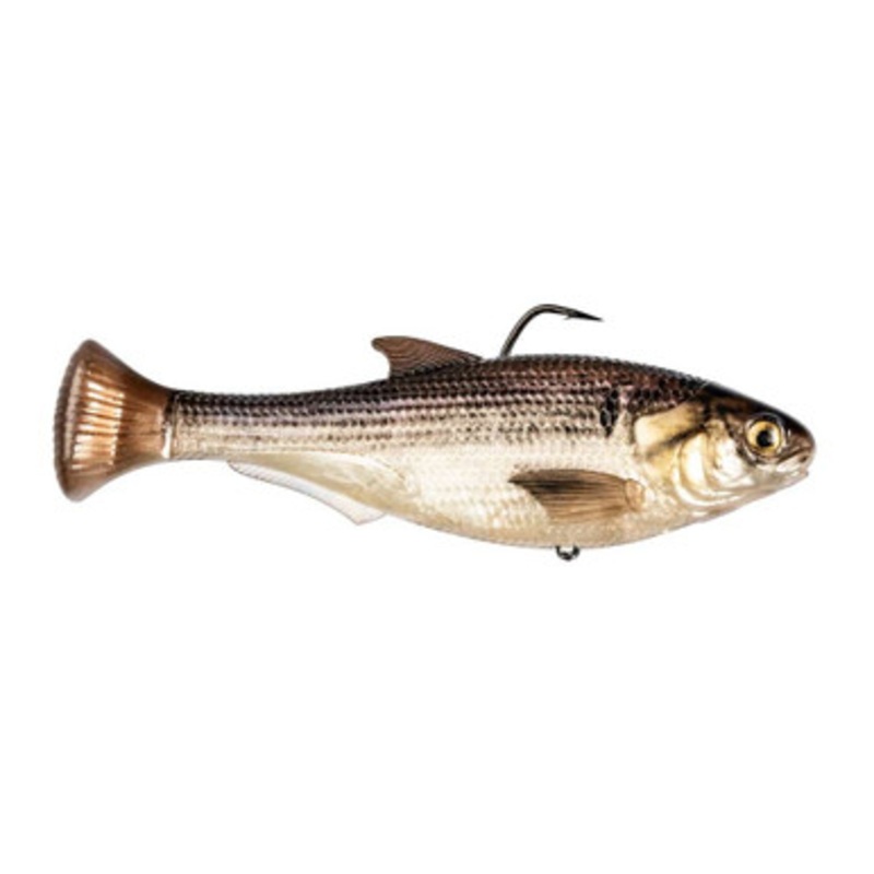 Z-Man Shadtron LT Swimbait - 6in - Slow Sinking - Gizzard Shad