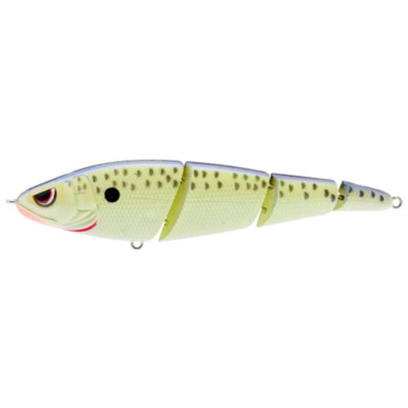SPRO Sashimmy Swimmer Swimbait - 125mm - Cell Mate