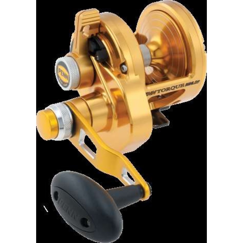 Penn TRQ25NLD2 Torque Lever Drag 2 Speed Reel
