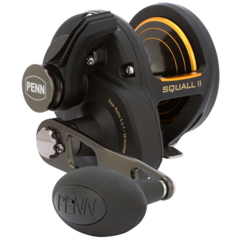 Penn SQLII25NLD Squall II Lever Drag Conventional Reel