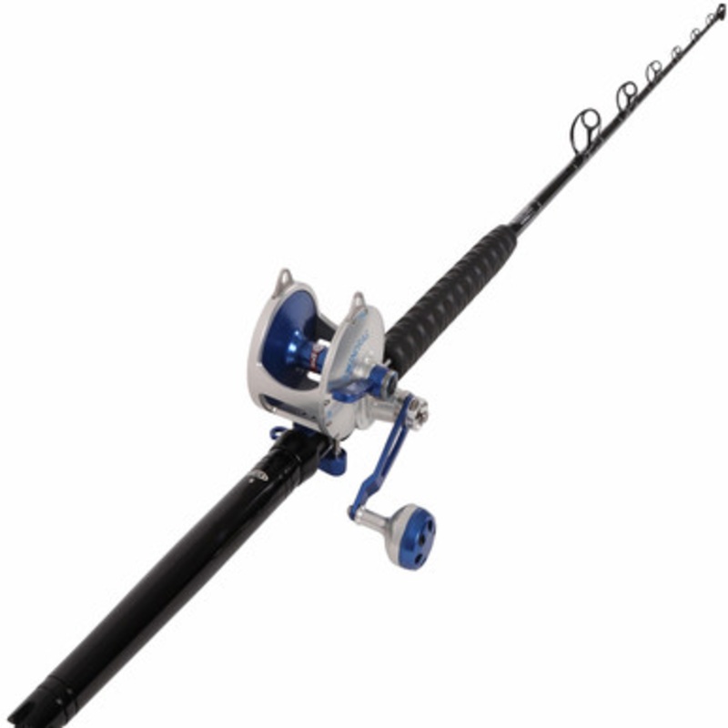 Accurate Valiant BV2-1000 / TackleDirect Platinum Hook TDPS645080WTSIN Standup Combo
