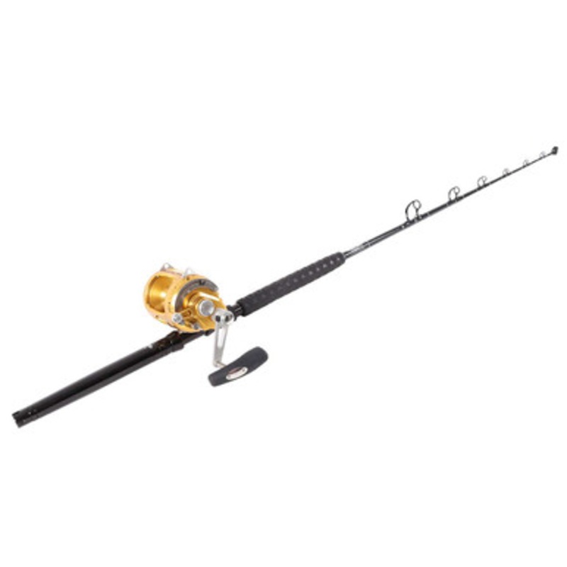 Penn International 50VISW Gold / TackleDirect Platinum Hook TDPS645080WTSIN Standup Combo